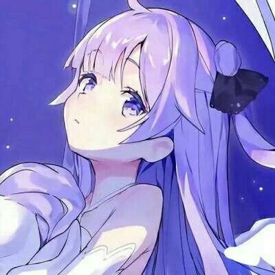 美第一夫人祸从口出